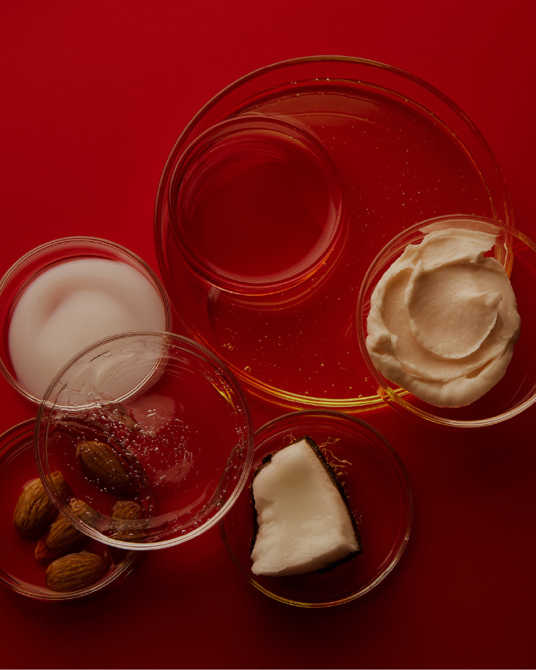 Hyaluronic Acid + Ceramides + Botanical Oils