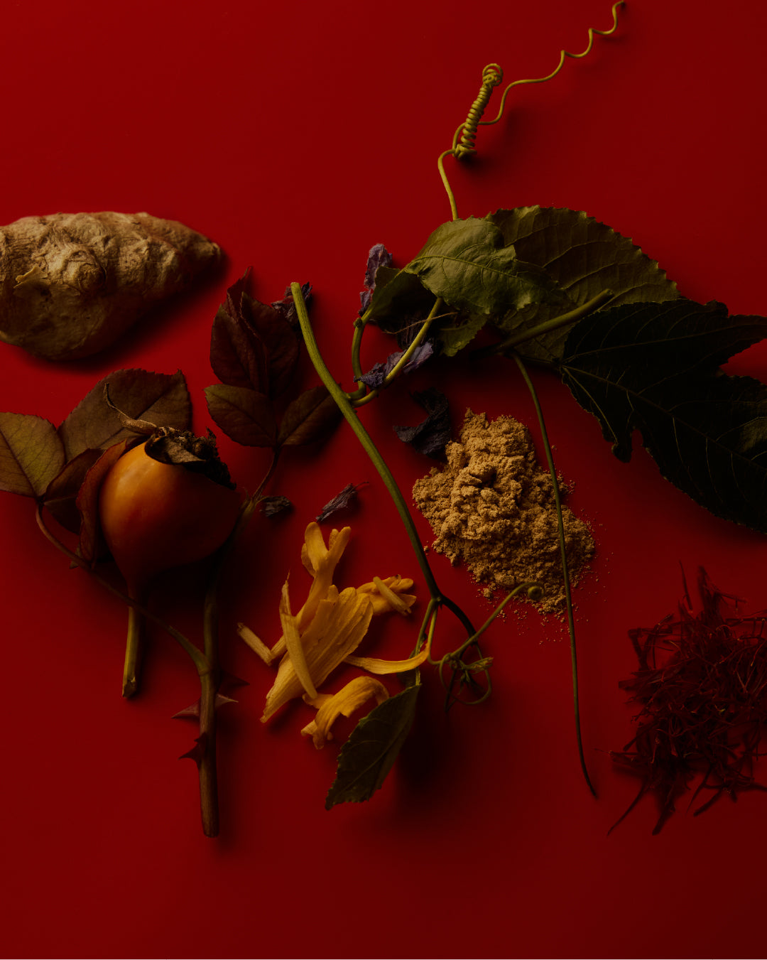 Rosehip + Passion Flower + Ylang Ylang + Ginger + Maca