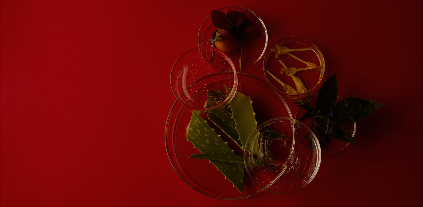 About Hero Background