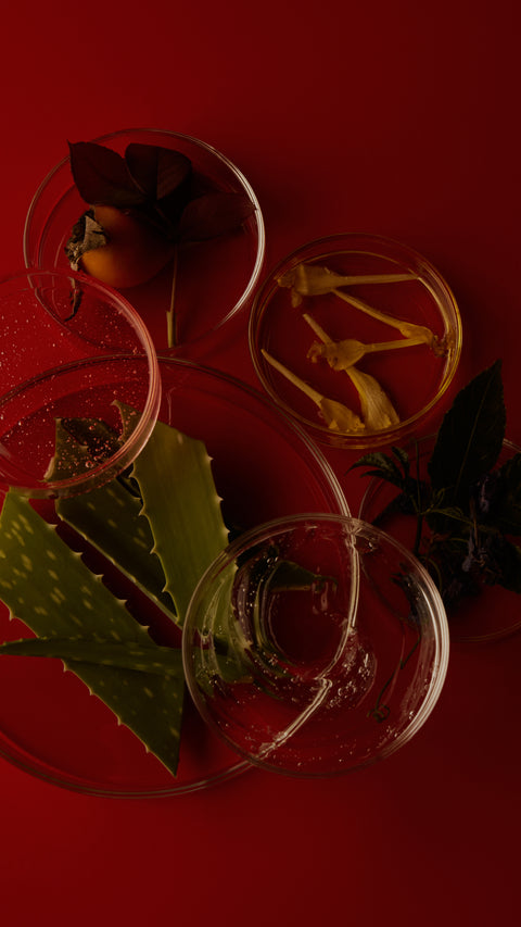 About Hero Background (Mobile)