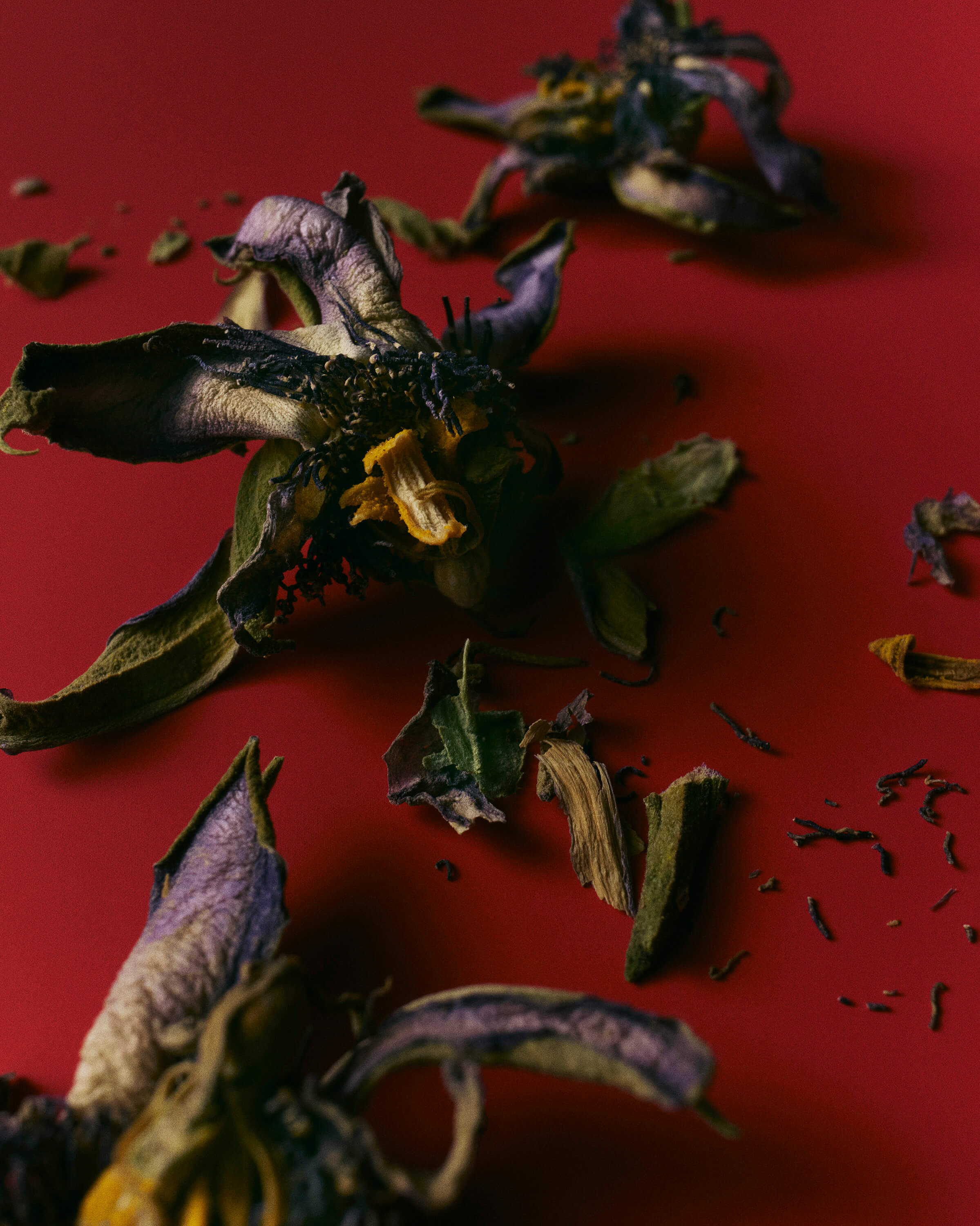 Passion Flower